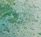 drain descaling 